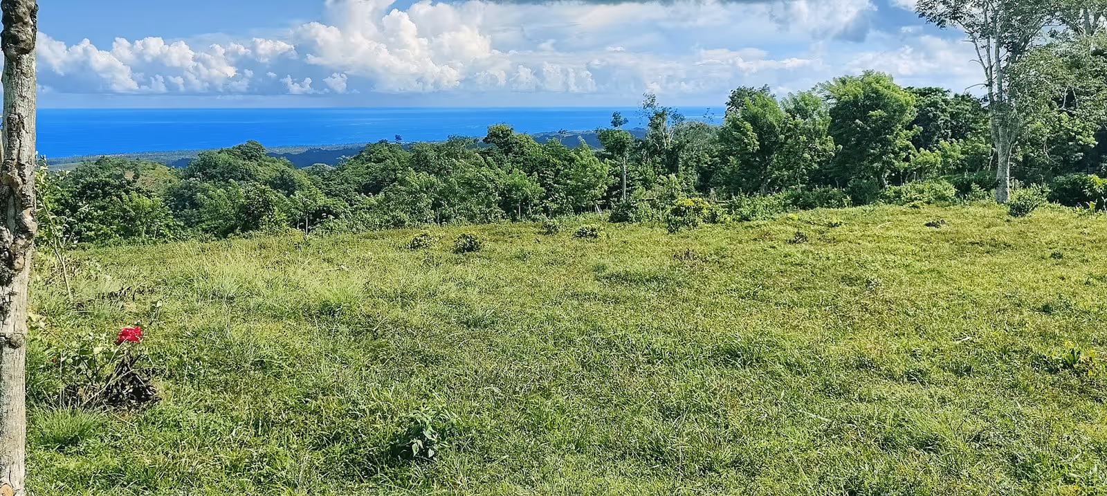 photo of property in dominican republic