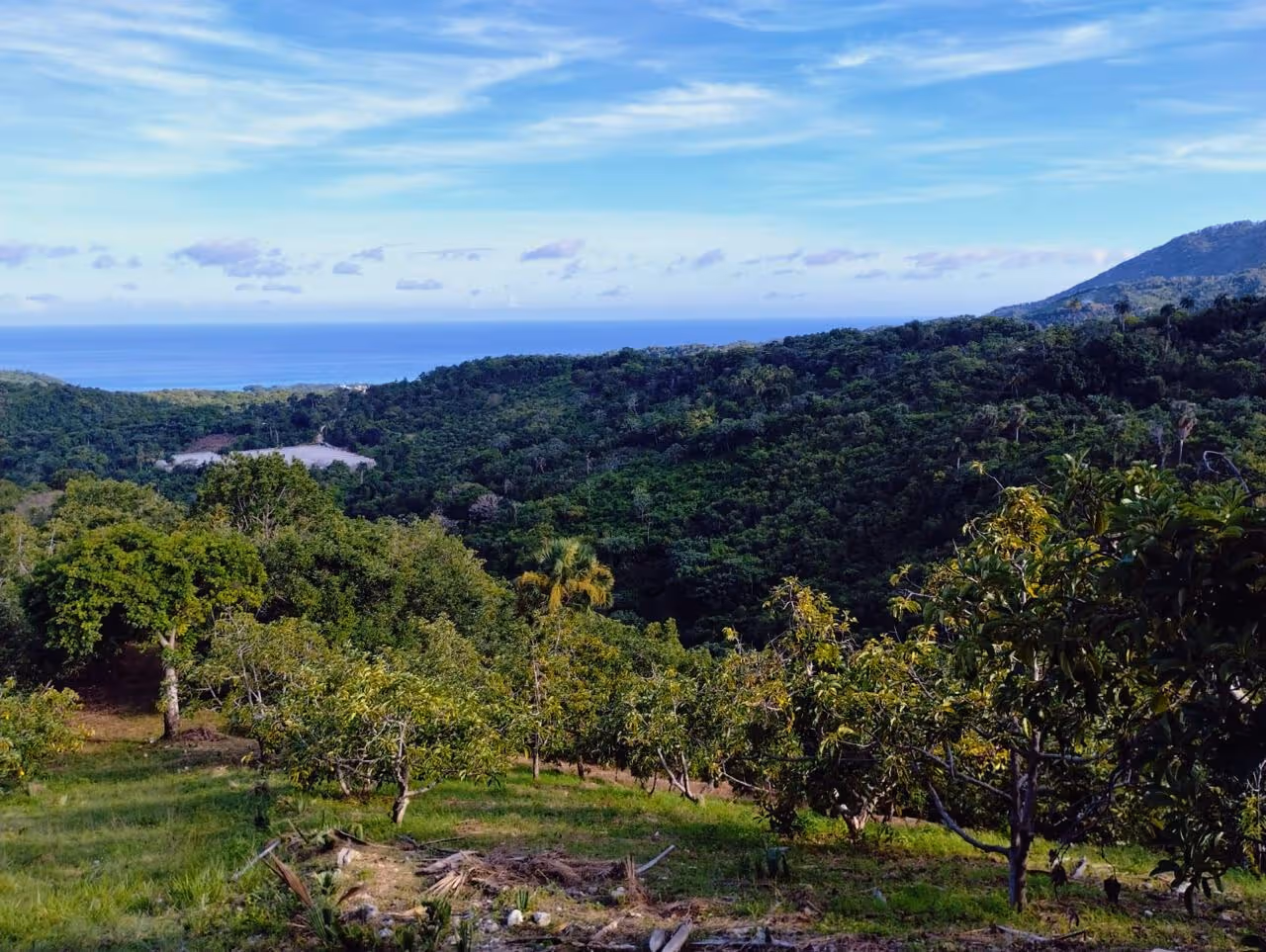 photo of property in dominican republic