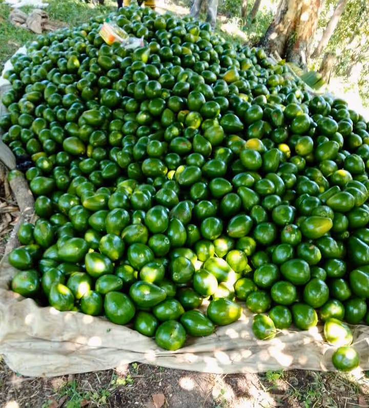 photo of property in dominican republic