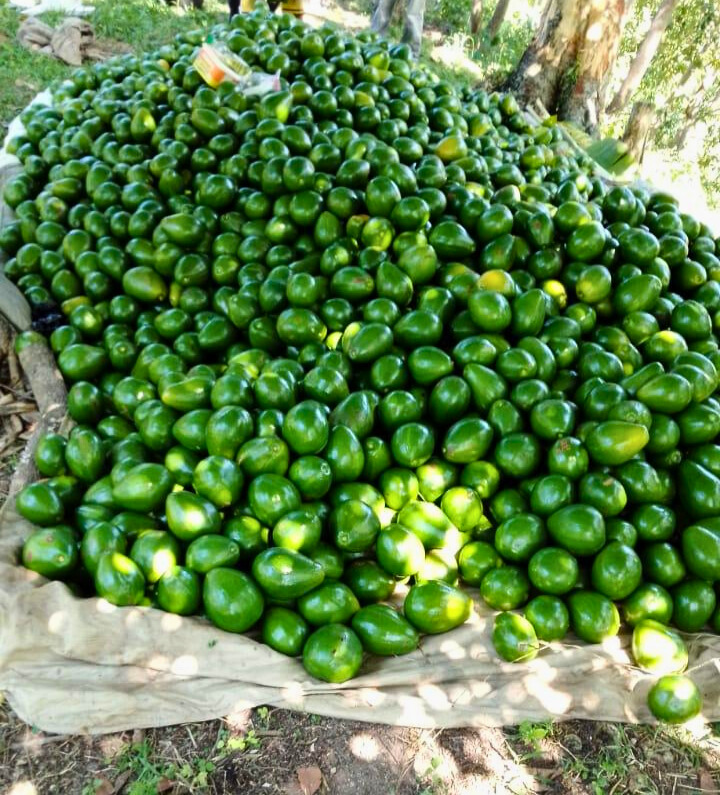 photo of property in dominican republic