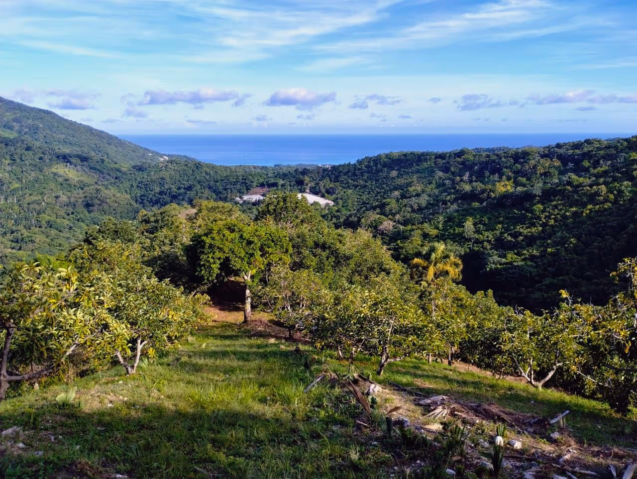 photo of property in dominican republic