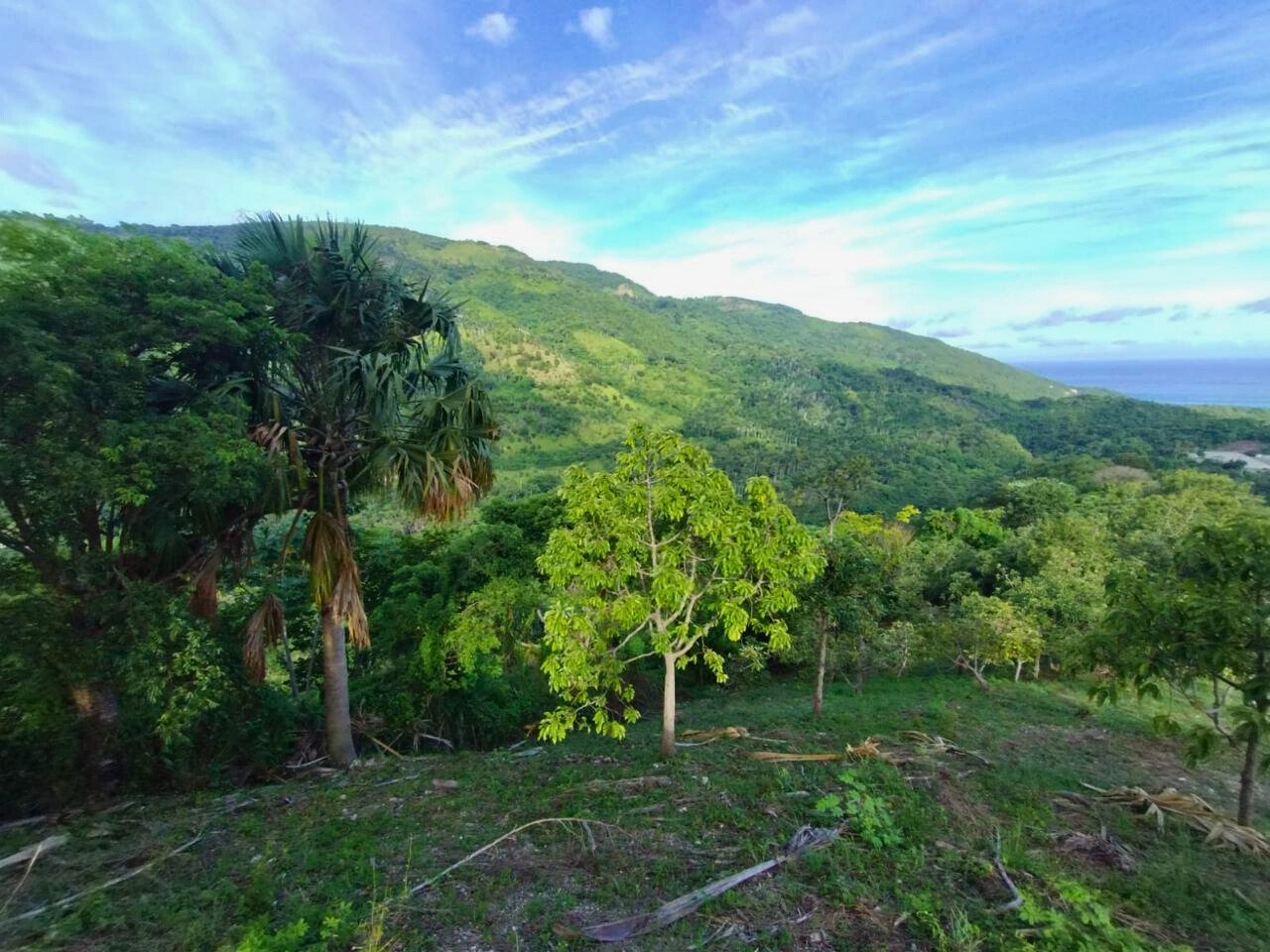 photo of property in dominican republic