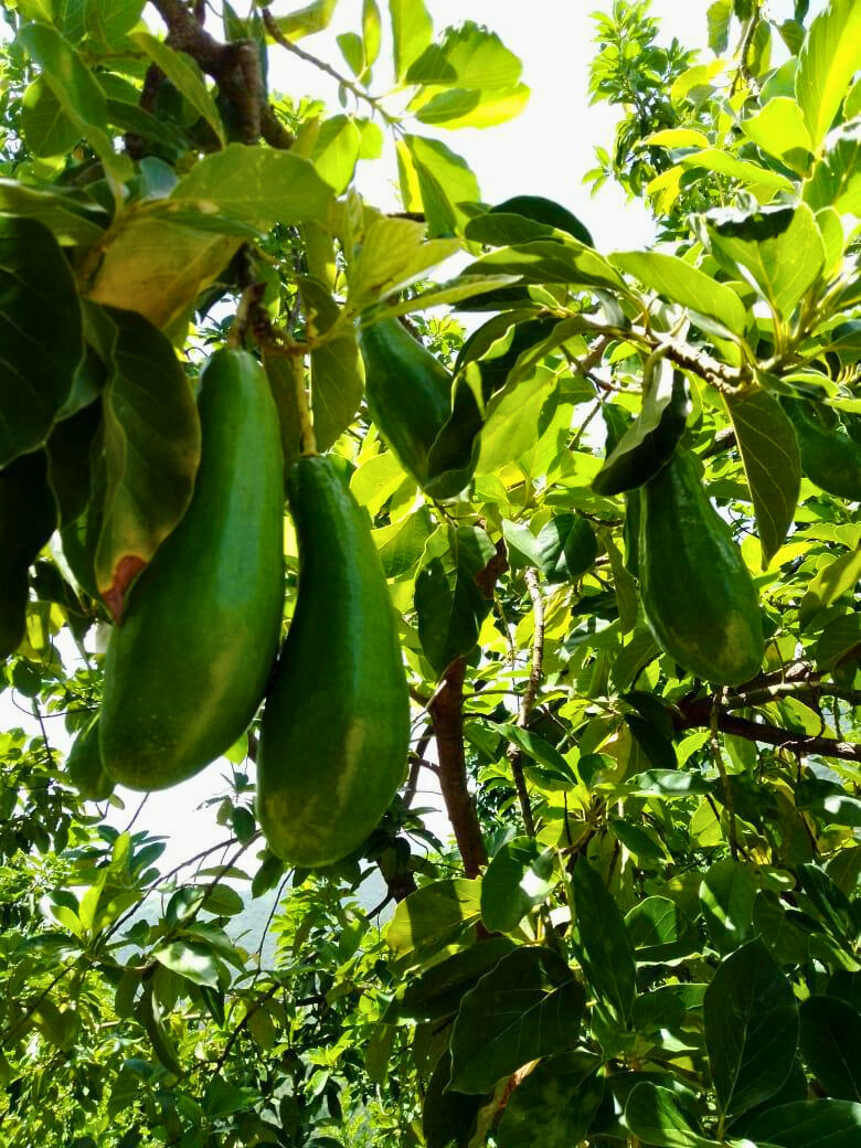 photo of property in dominican republic