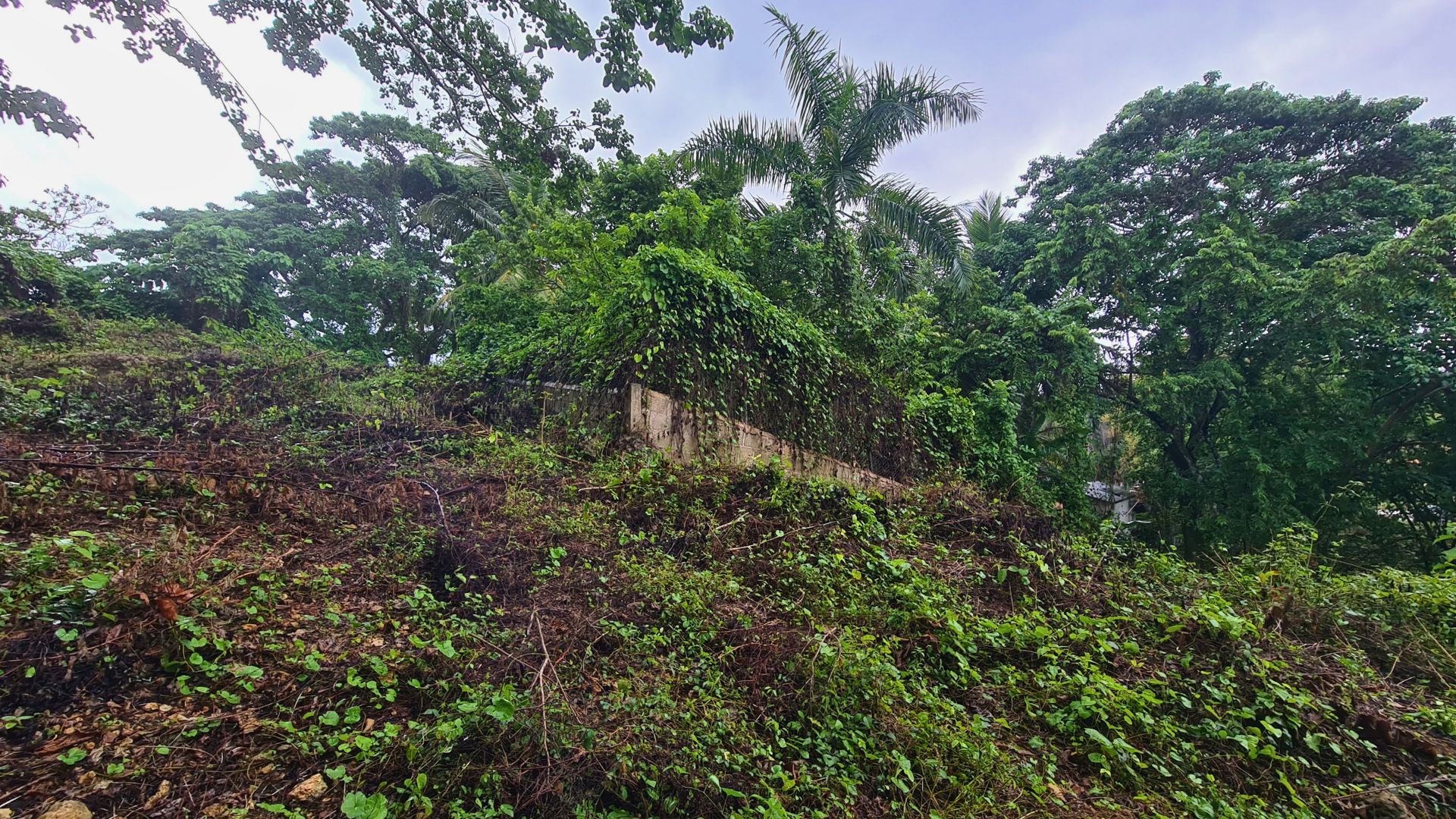 photo of property in dominican republic