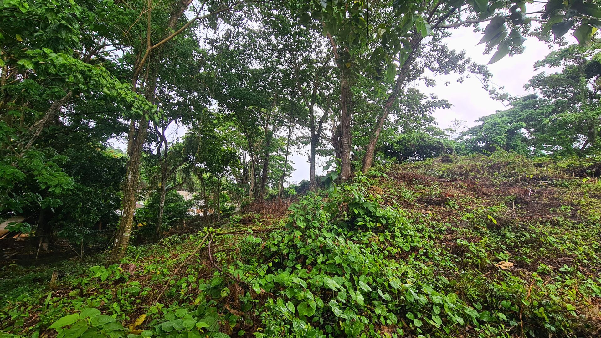 photo of property in dominican republic