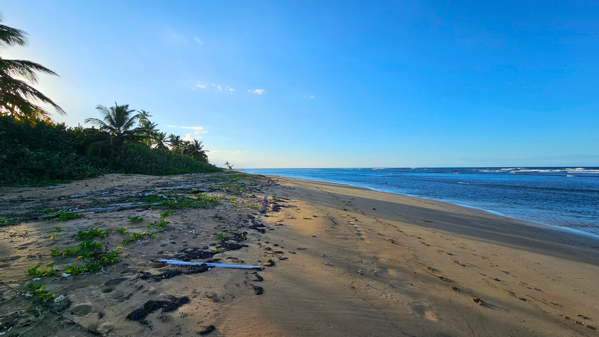 photo of property in dominican republic