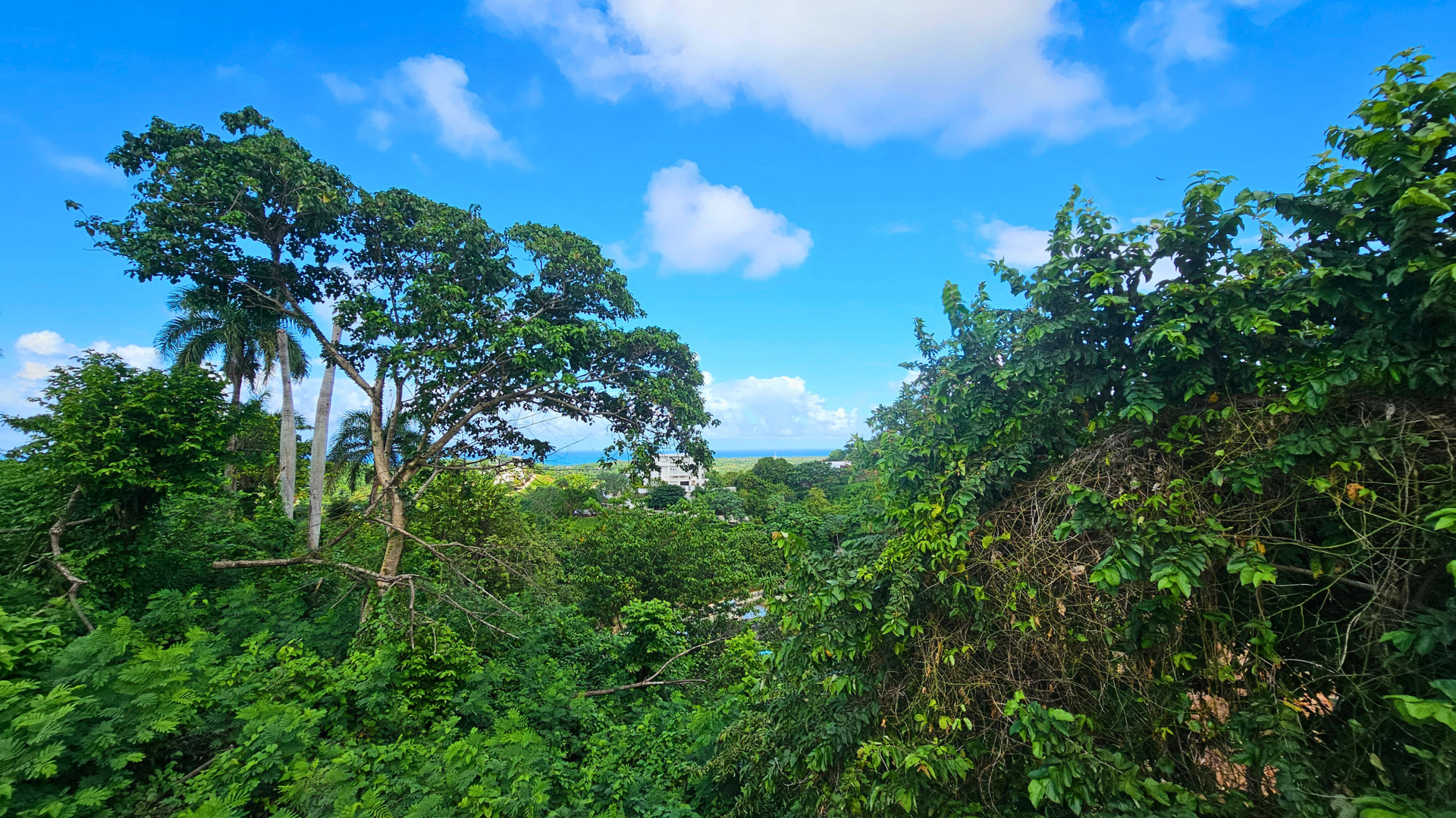 photo of property in dominican republic