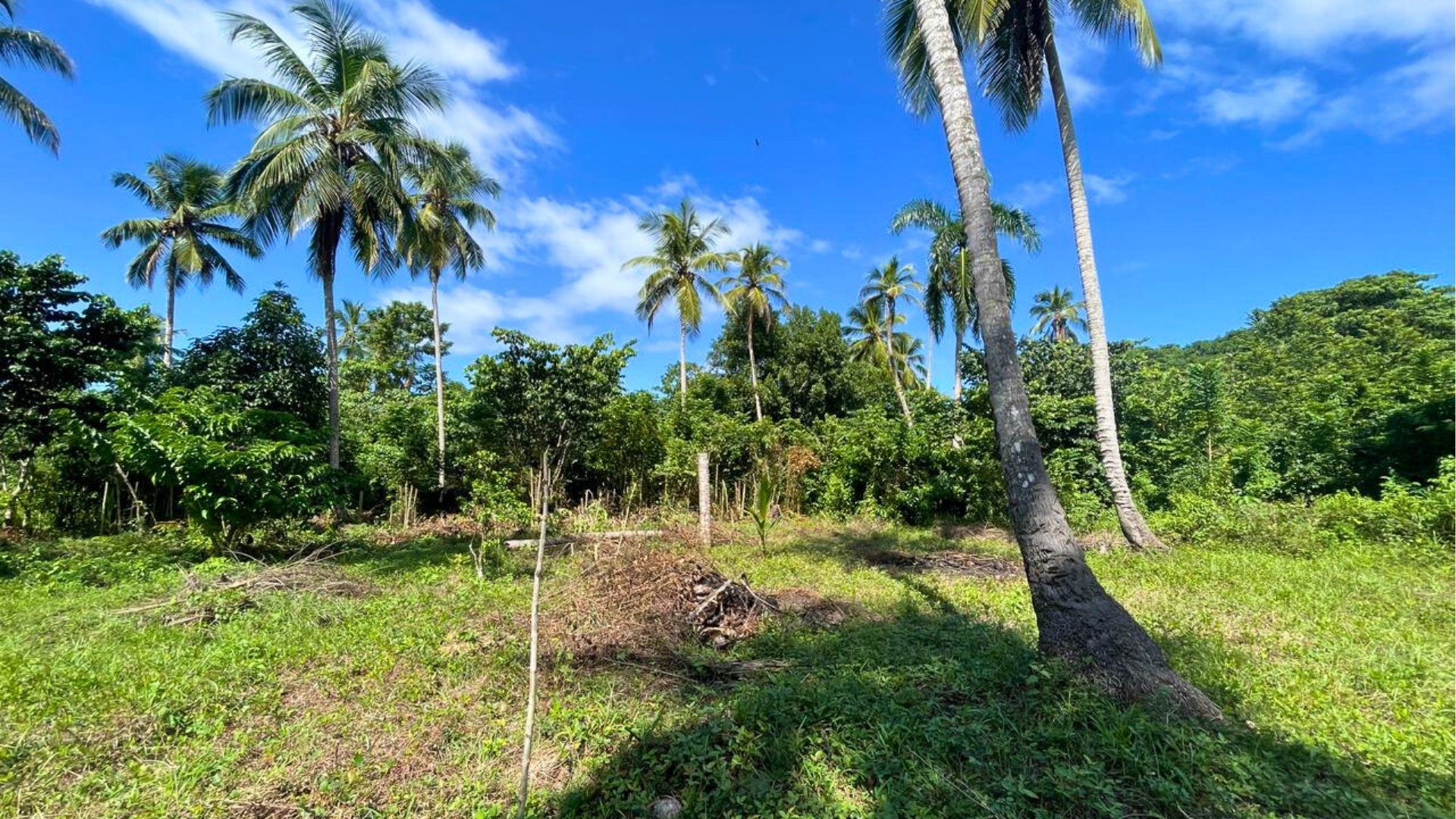 photo of property in dominican republic