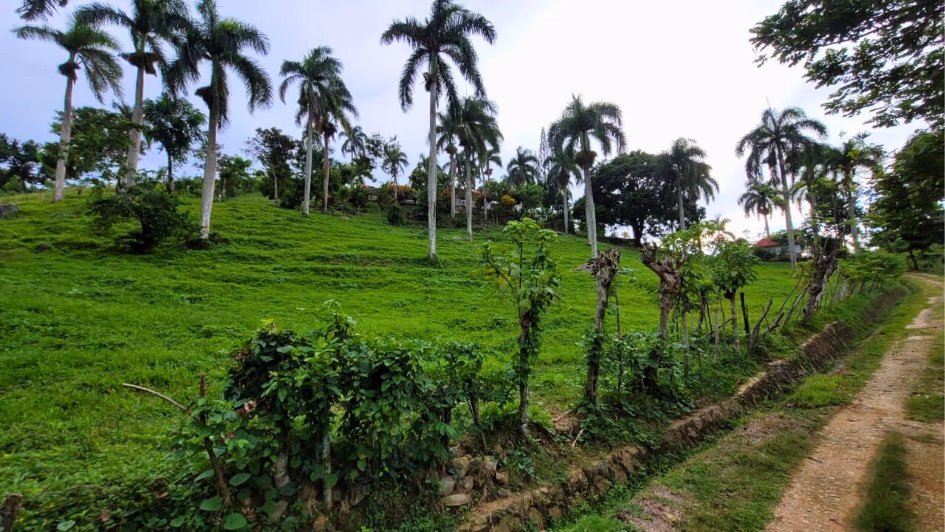 photo of property in dominican republic