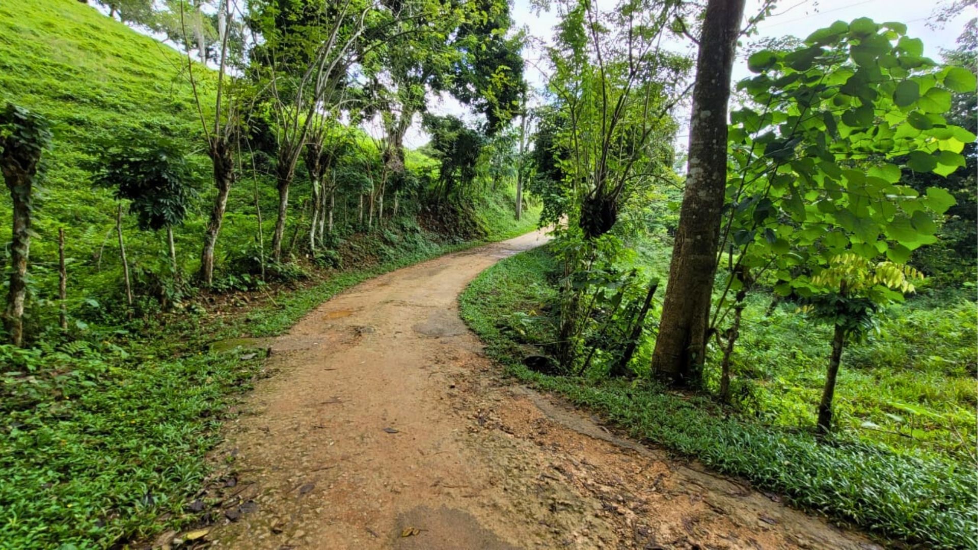 photo of property in dominican republic