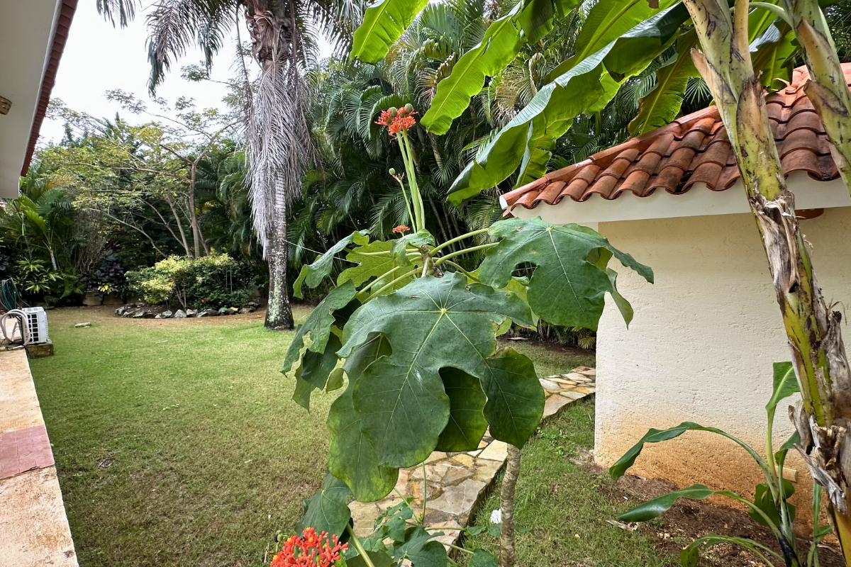 photo of property in dominican republic