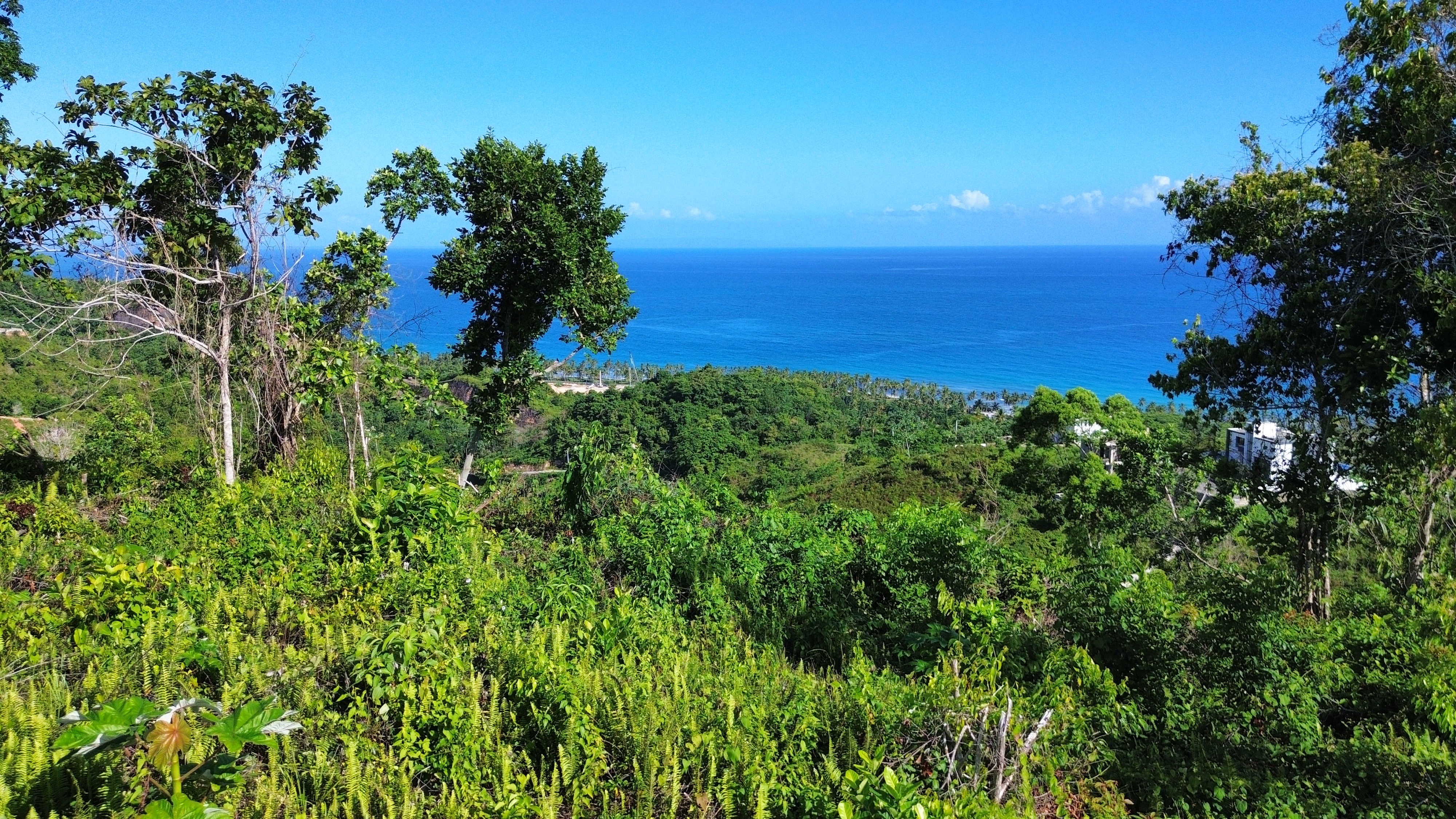 photo of property in dominican republic