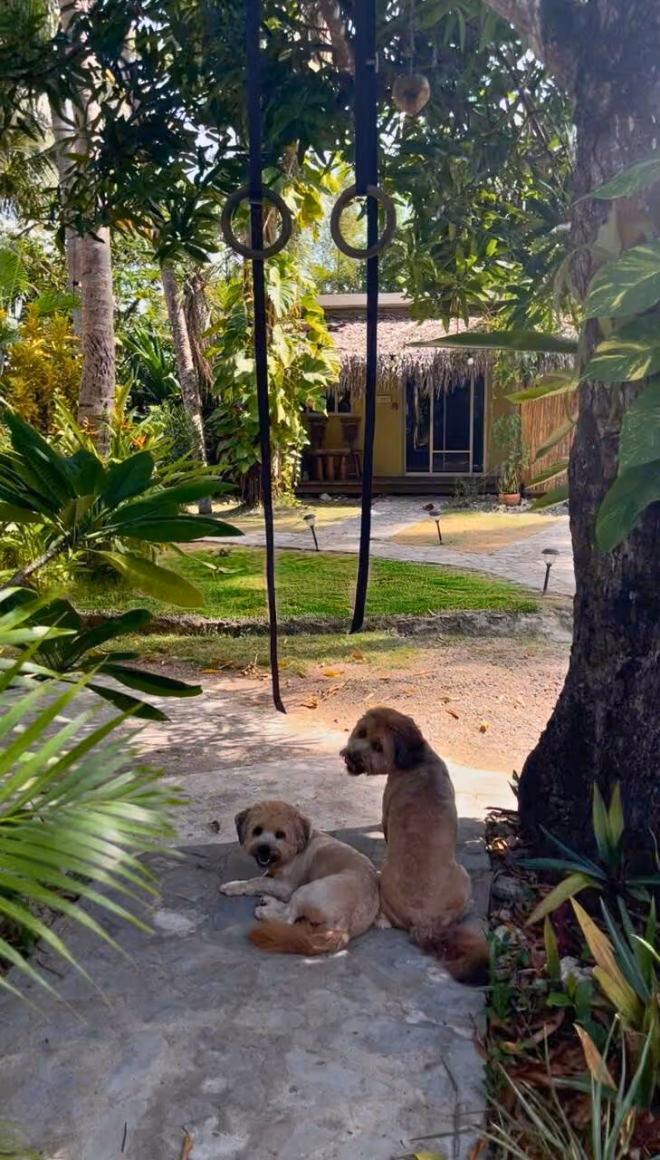 photo of property in dominican republic