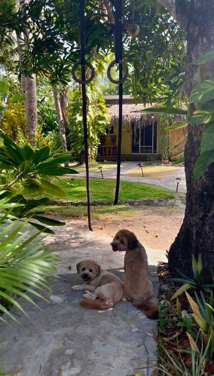 photo of property in dominican republic