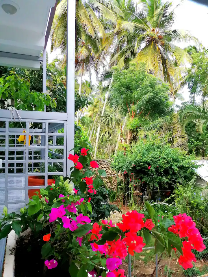 photo of property in dominican republic