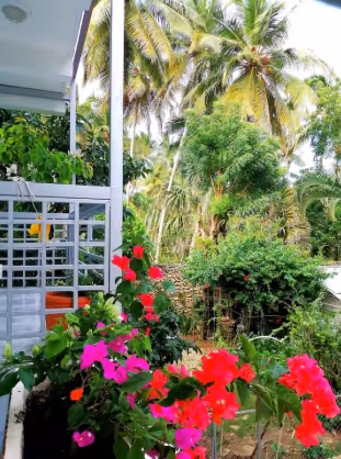 photo of property in dominican republic