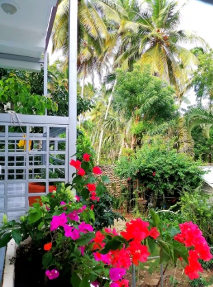 photo of property in dominican republic