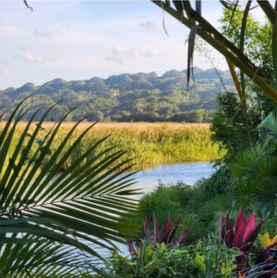 photo of property in dominican republic