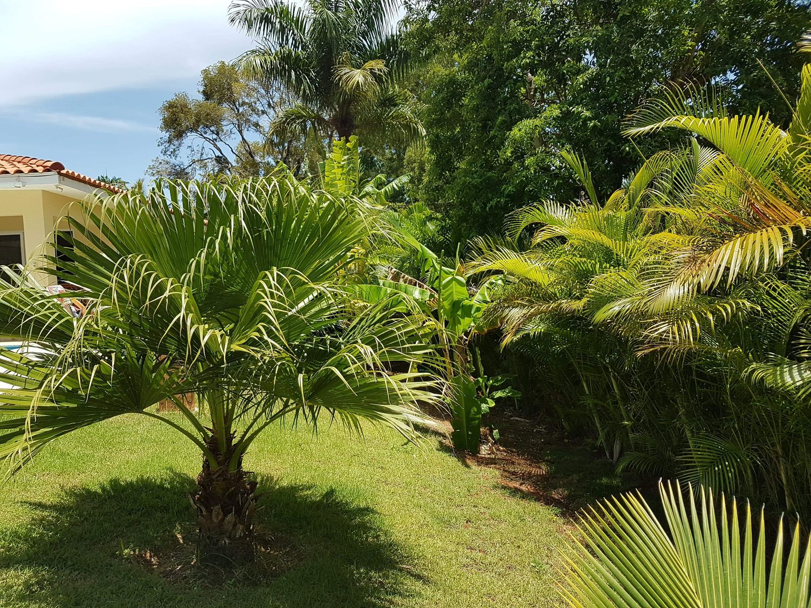 photo of property in dominican republic