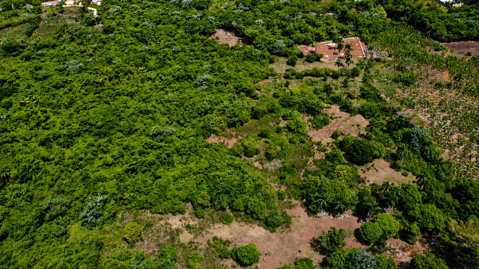 photo of property in dominican republic