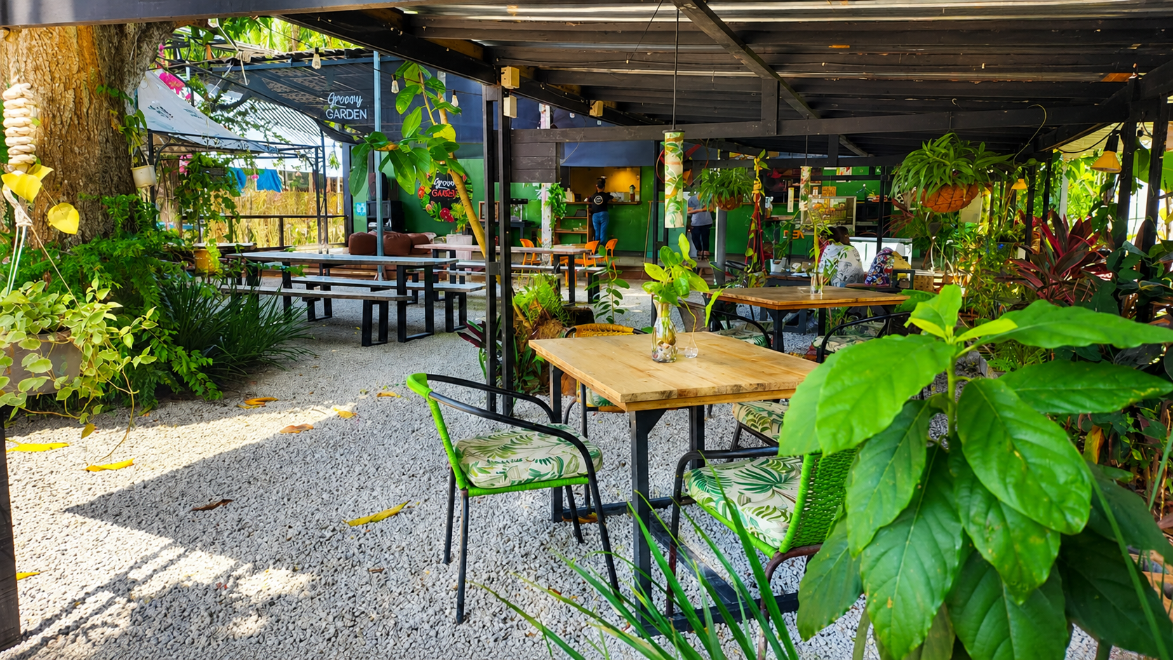 photo of property in dominican republic