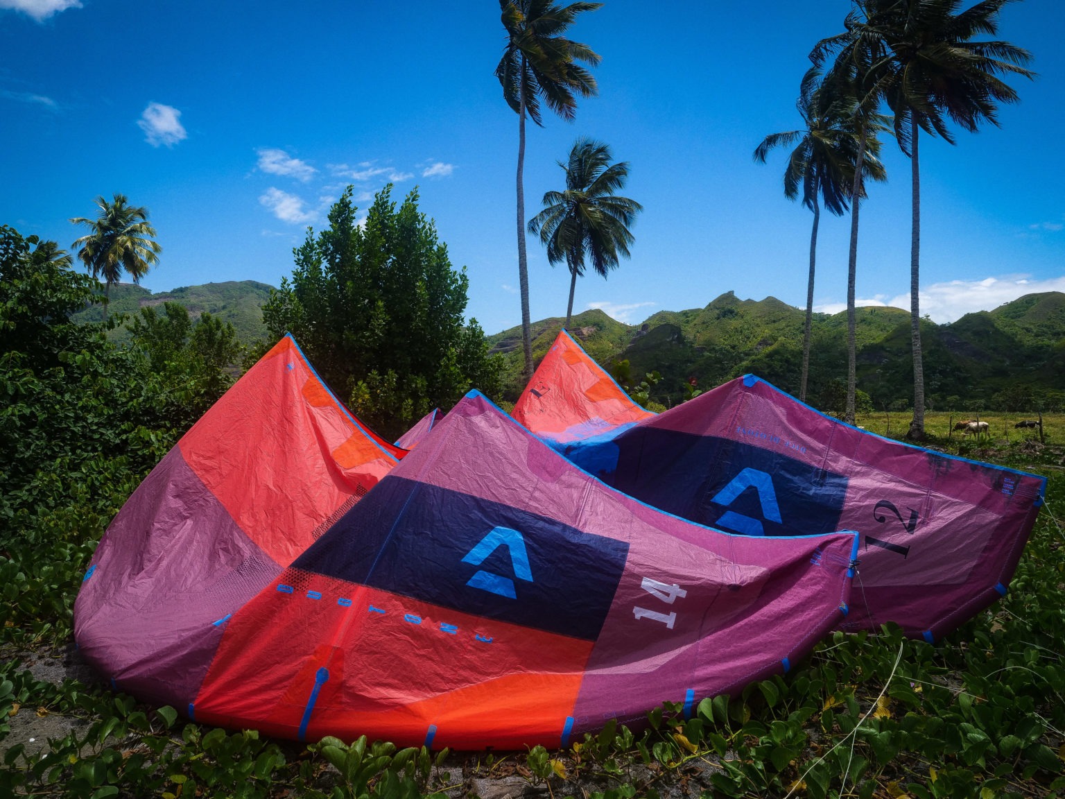 photo of property in dominican republic