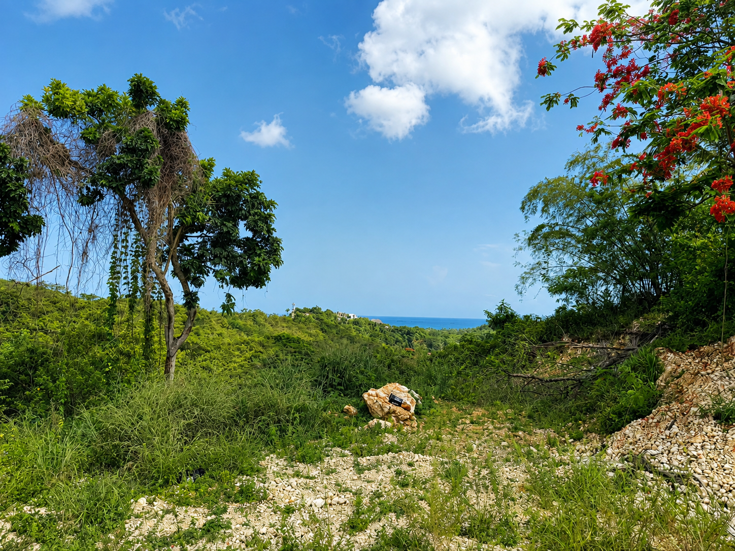 land for sale La Ceiba,Las Terrenas 1