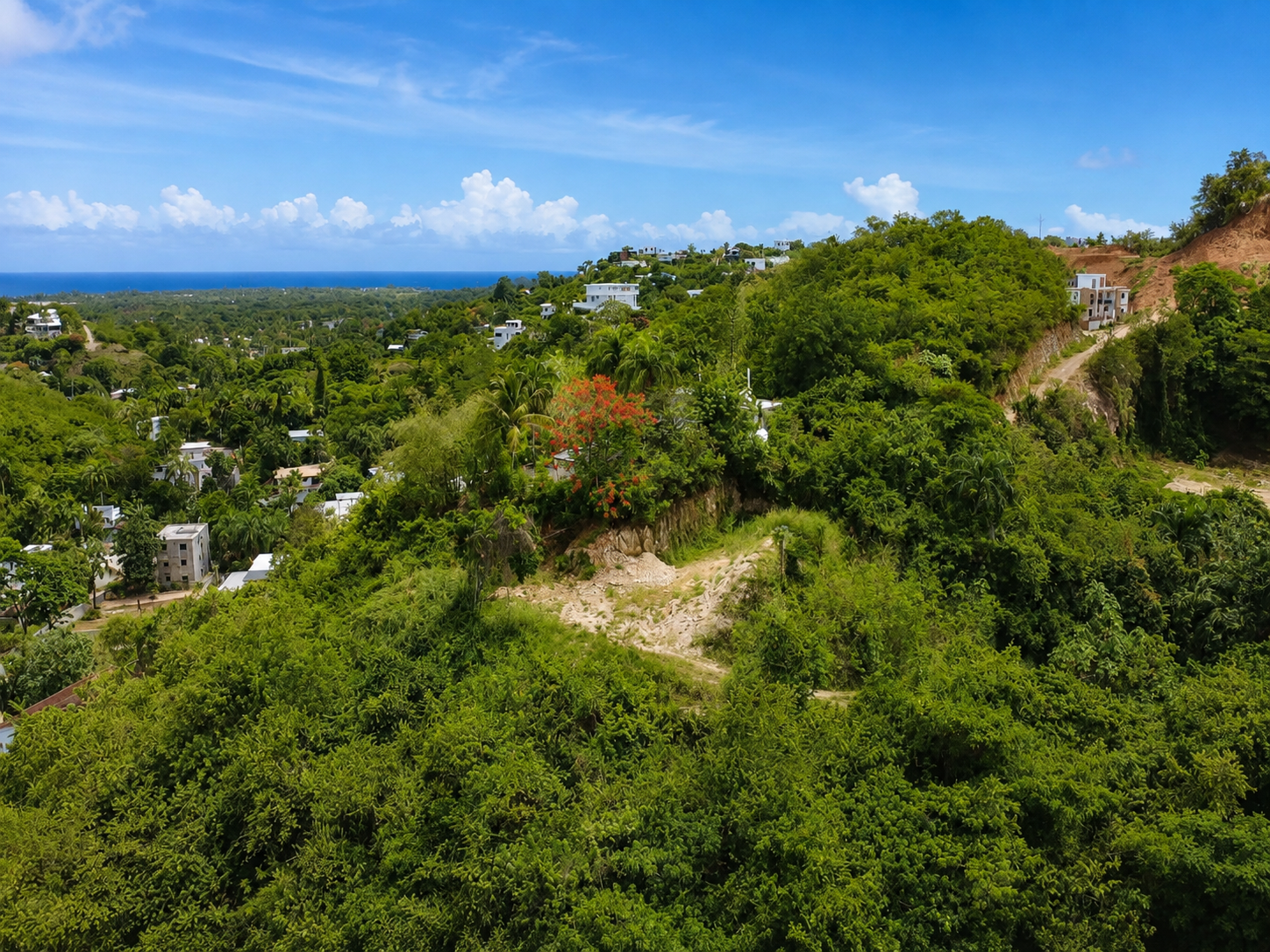 land for sale La Ceiba,Las Terrenas 5