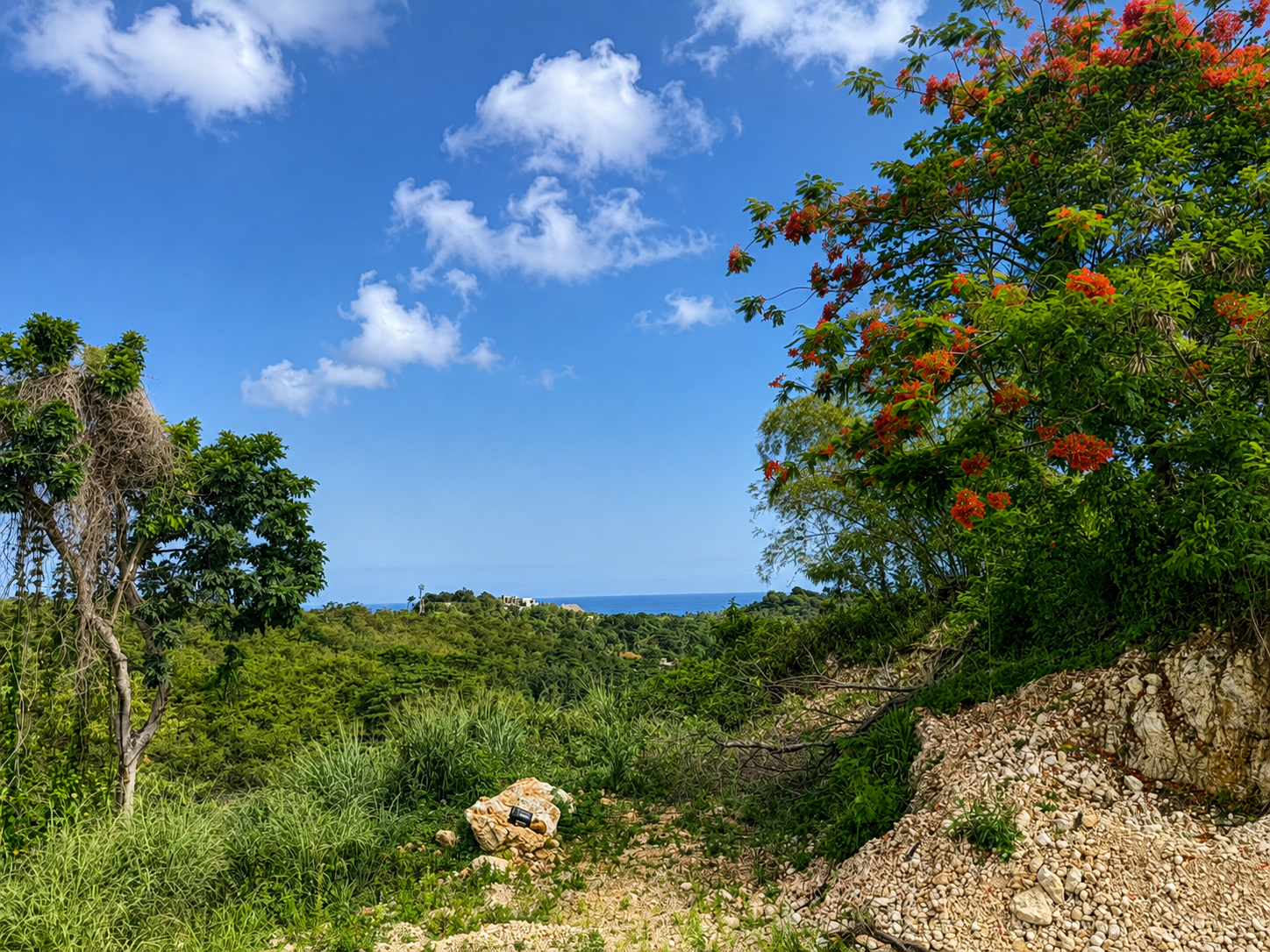 land for sale La Ceiba,Las Terrenas 2