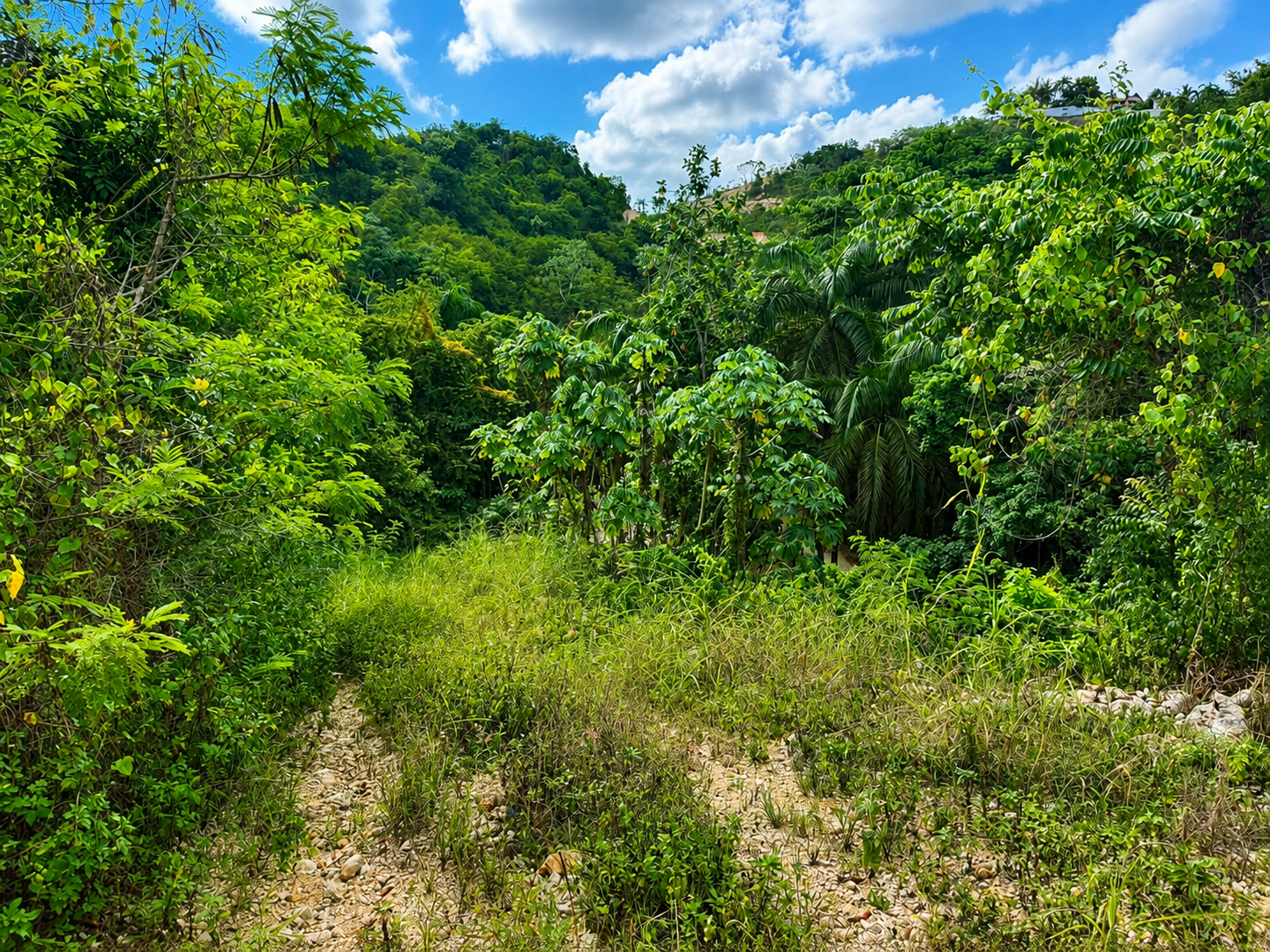 land for sale La Ceiba,Las Terrenas 3