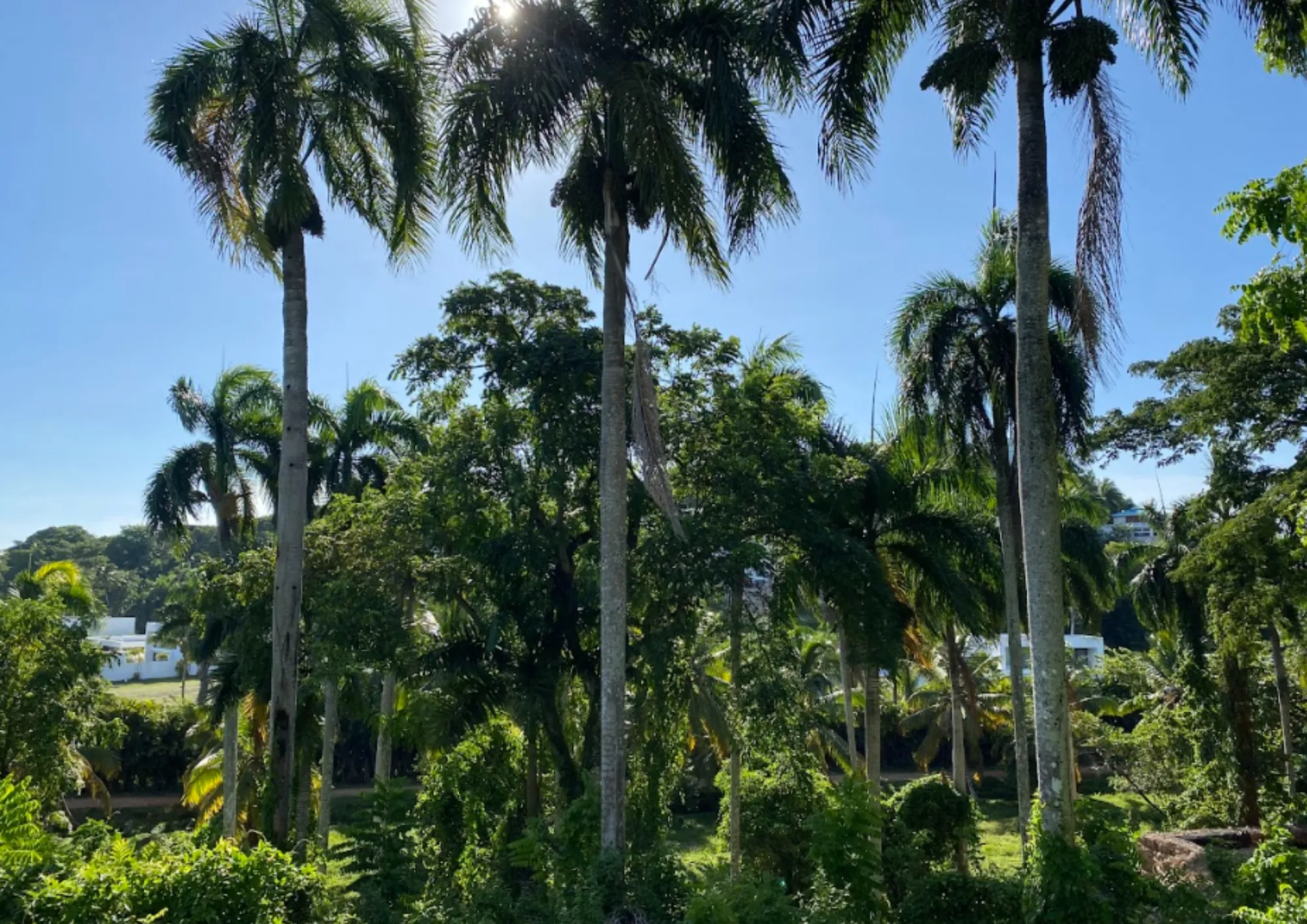 photo of property in dominican republic