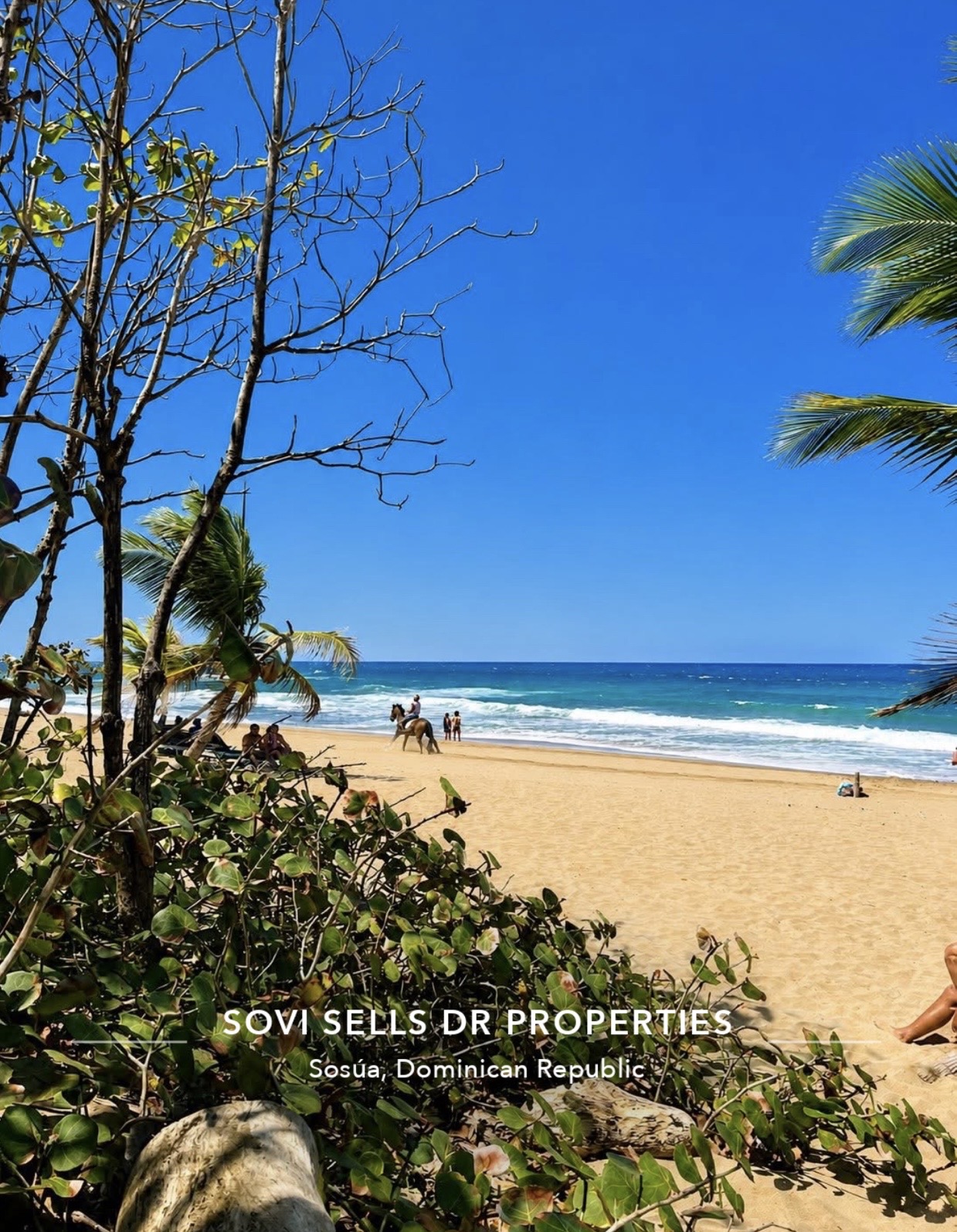Garden View 1 Bedroom Condo with Beach Access in Perla Marina  20