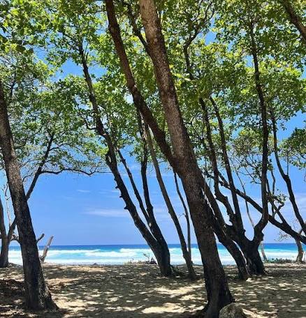 Turnkey 1 Bedroom Condo Steps from Playa Encuentro 9