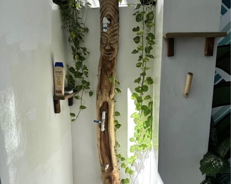 Income-Producing Boutique Hotel with Owner Financing in Cabarete 14