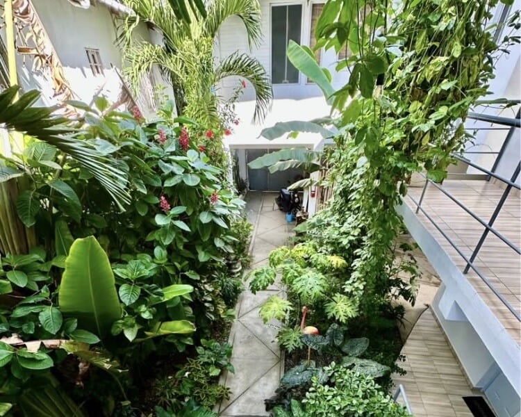 Income-Producing Boutique Hotel with Owner Financing in Cabarete 15