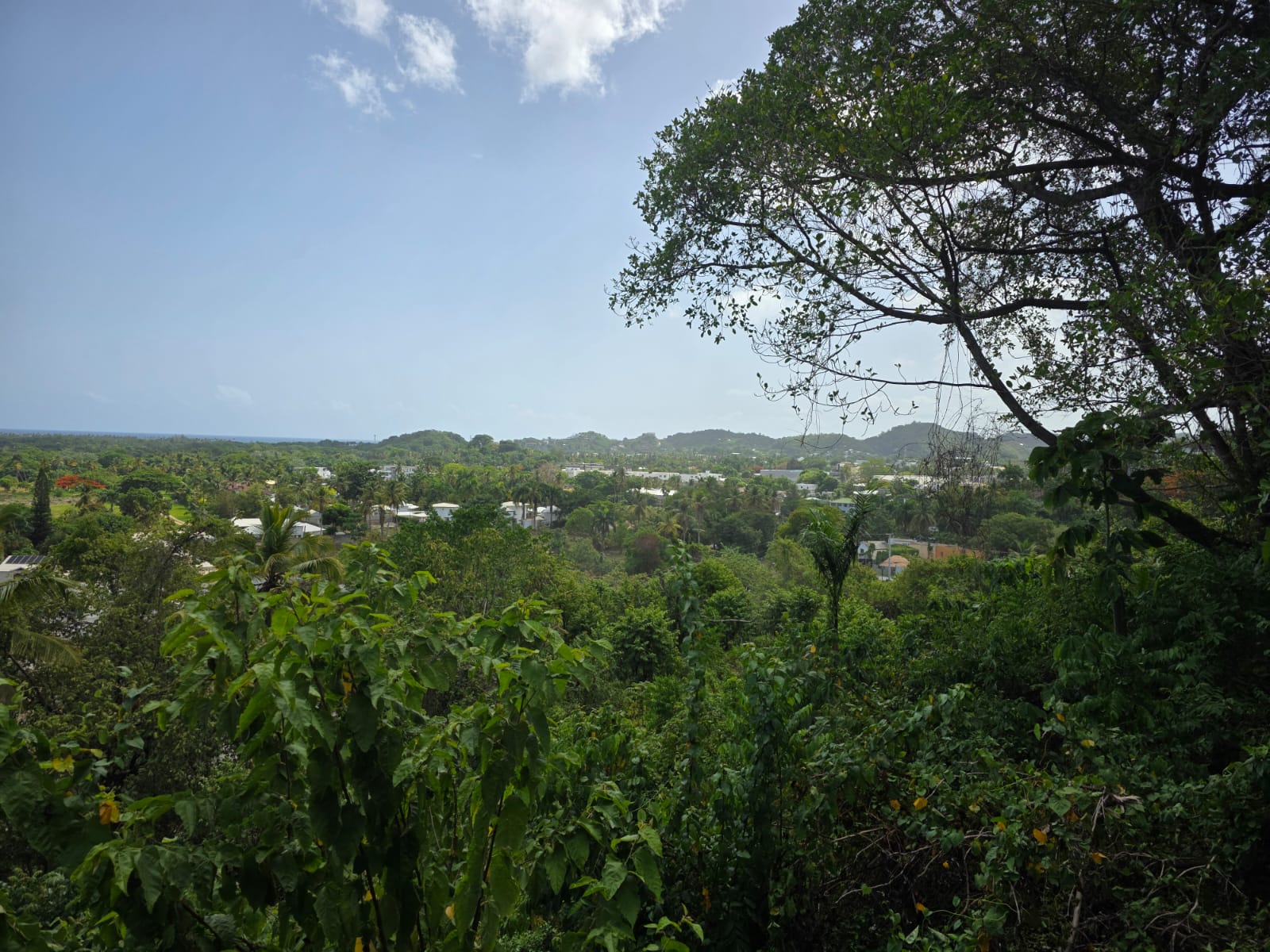 Exceptional Lot in Bonita with Ocean Views