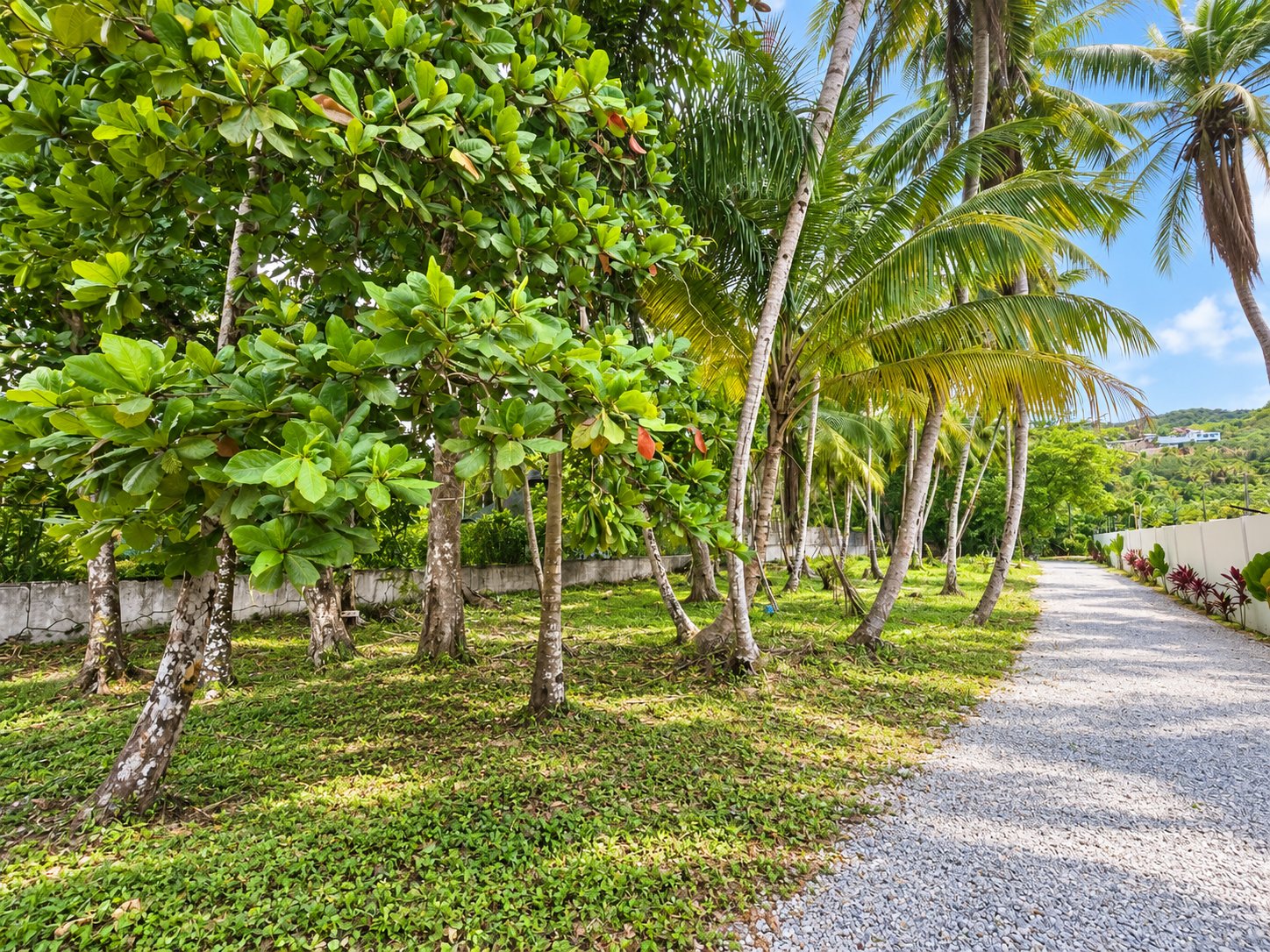 Land Opportunity in Playa Cosón, Las Terrenas