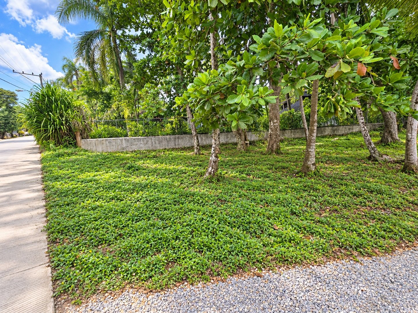 Land Opportunity in Playa Cosón, Las Terrenas