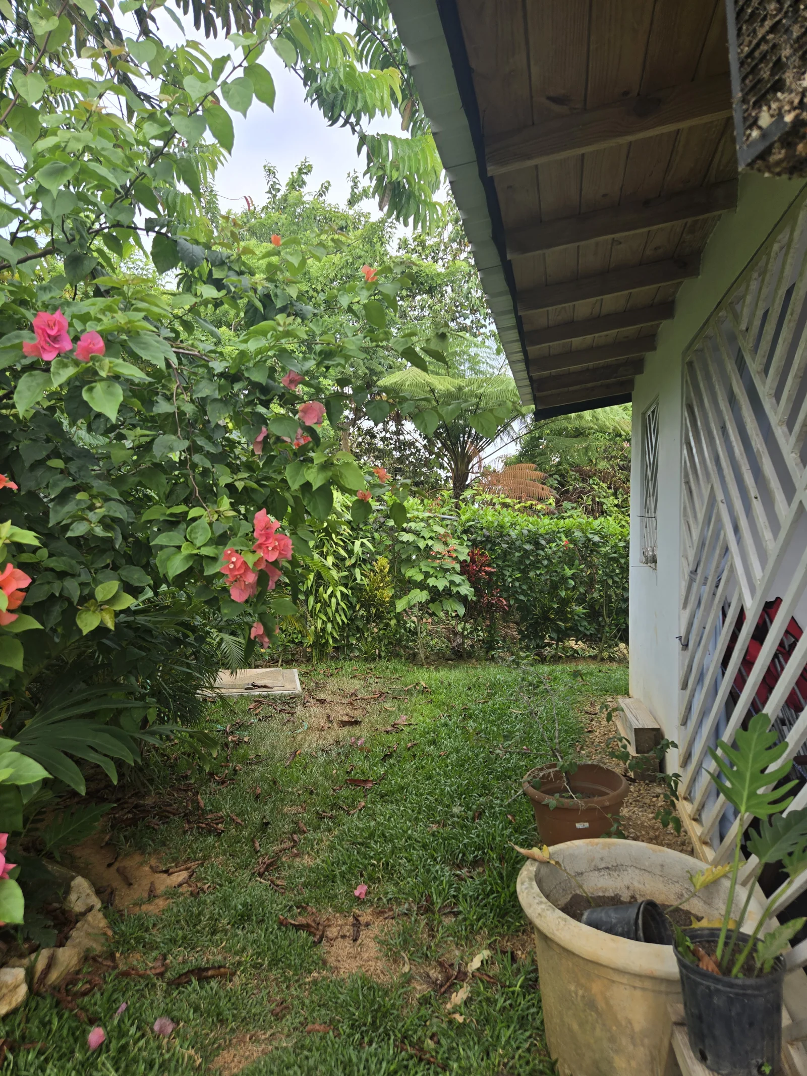Versatile villa with panoramic ocean views on a mountain outside of Las Terrenas  18