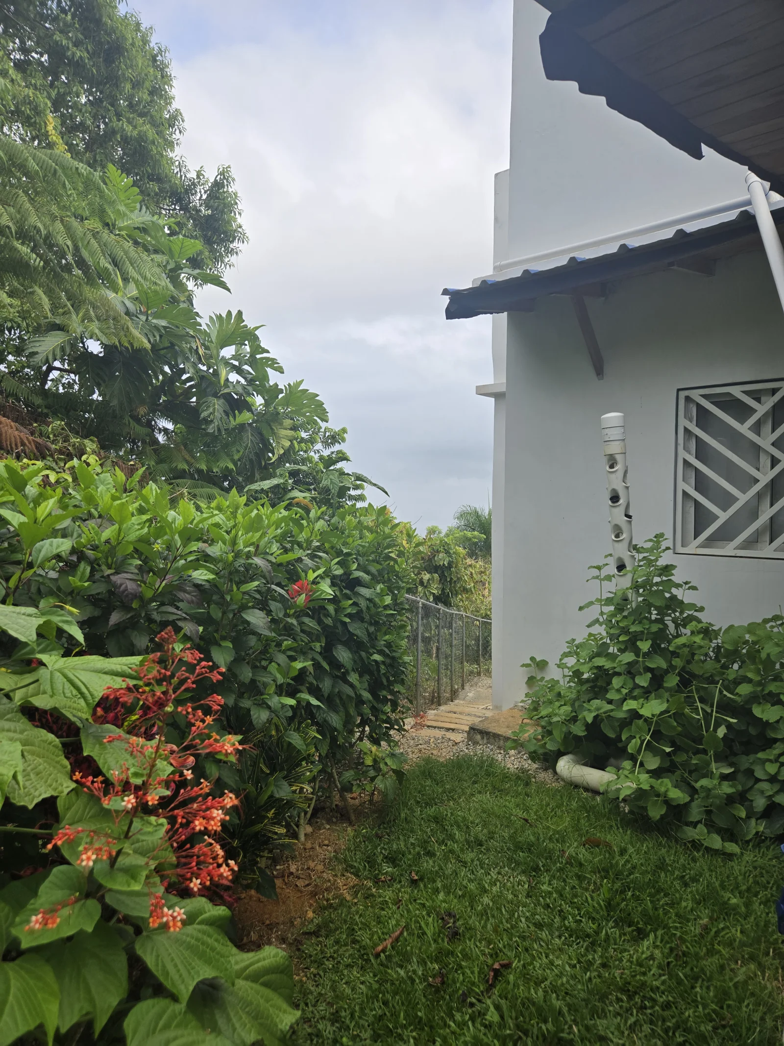 Versatile villa with panoramic ocean views on a mountain outside of Las Terrenas  19