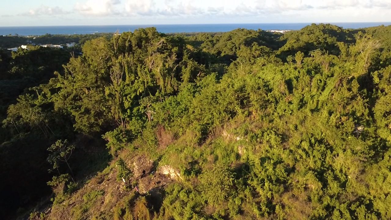 8061 m² Ocean View Development Land