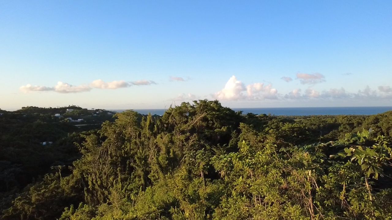 8061 m² Ocean View Development Land
