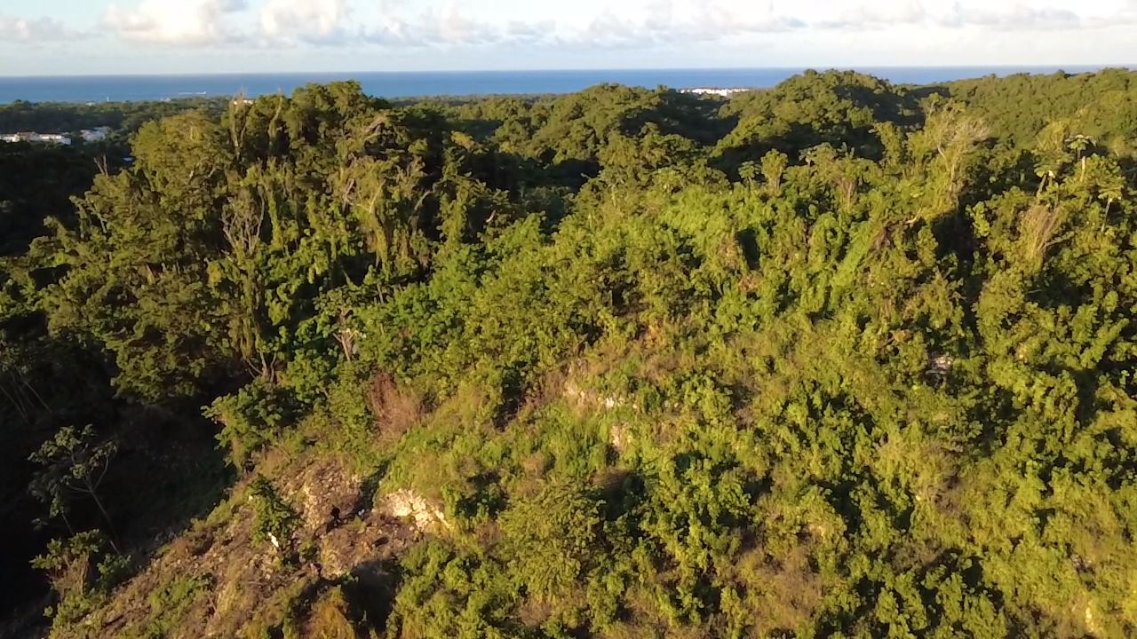 8061 m² Ocean View Development Land