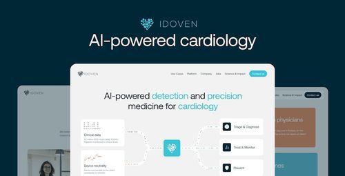 Screenshot of Idoven Website