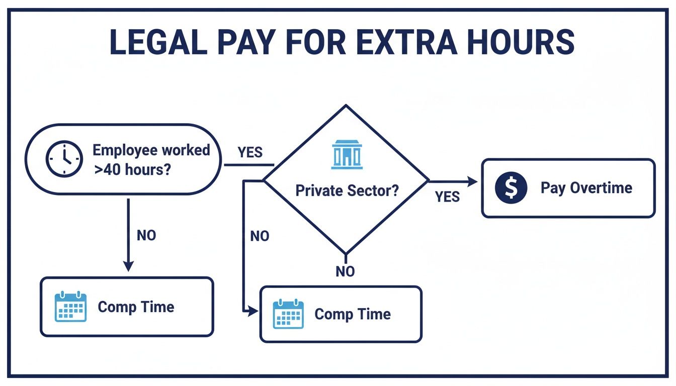 Flowchart illustrating legal pay for extra hours, detailing overtime versus comp time based on sector.