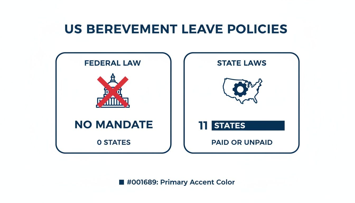 Infographic showing US bereavement leave policies, highlighting no federal mandate and 11 states with paid or unpaid laws.