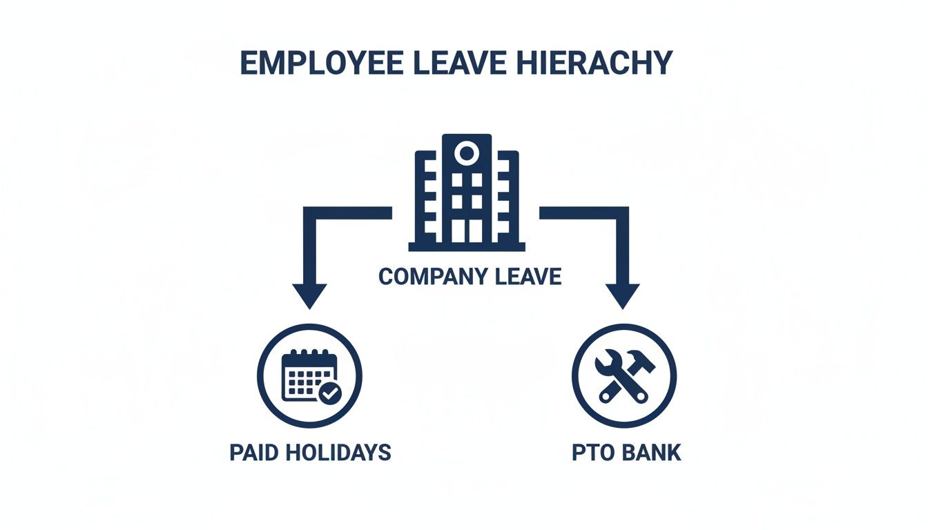 Hierarchy of employee leave, showing Company Leave divided into Paid Holidays and PTO Bank.