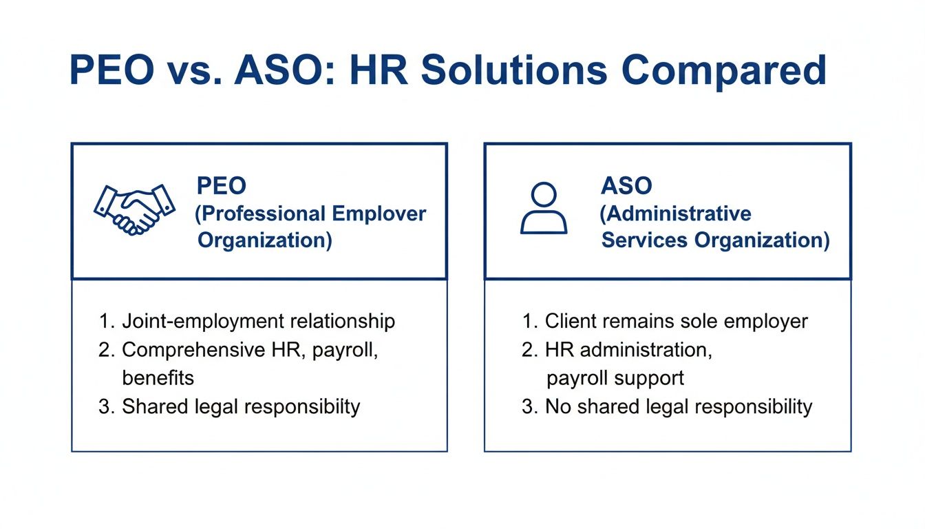 Infographic comparing PEO and ASO HR solutions, detailing employment relationships and responsibilities.