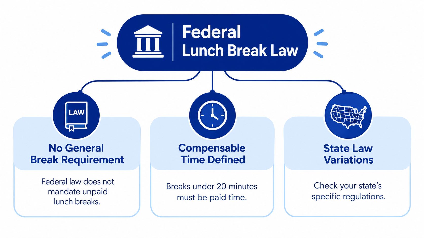 A diagram outlining federal lunch break laws, stating there is no mandate for breaks and shorter breaks are paid.