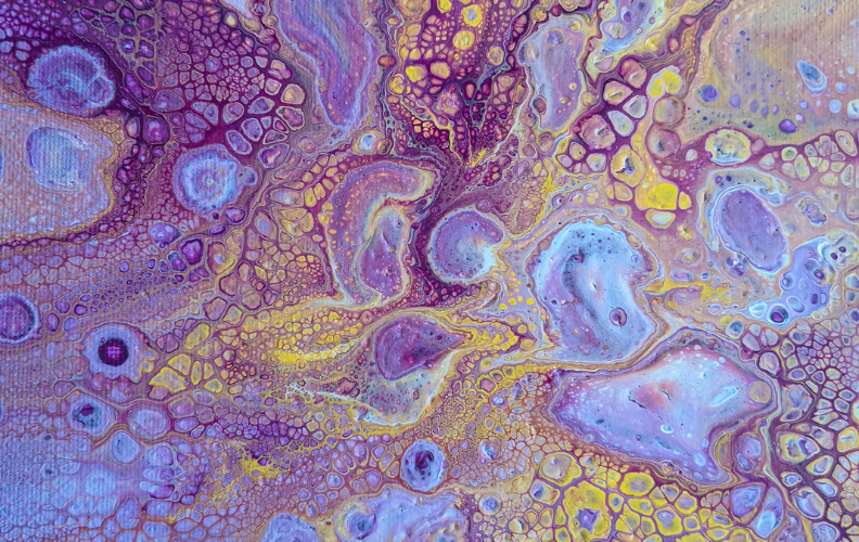 BIBL 6342 Hermeneutics